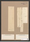 Pleurosigma intermedium W.Sm. (de-Toni-Nr.: Genus 13, Species 1004) Zeichnungen Sammlung Grunow Nr. 2039 (NHMW-BOT-W0368893)